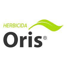 Oris